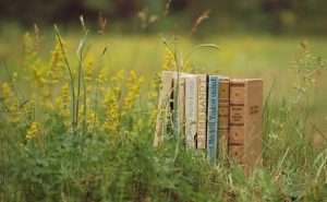 Summer School: Alzheimer’s disease research methodology